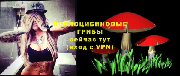 не бодяженный Алзамай