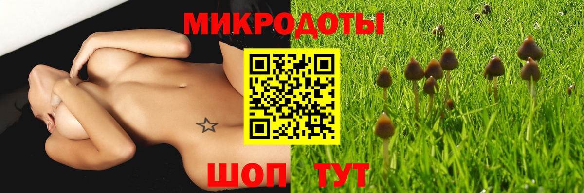 Котлас  Псилоцибиновые грибы ЛСД  Вход с VPN 
